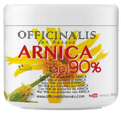 ARNICA GEL 90% 500 ML - farmacialombardia.it