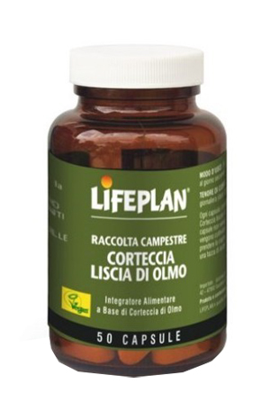 CORTECCIA LISCIA DI OLMO 50 CAPSULE - farmacialombardia.it