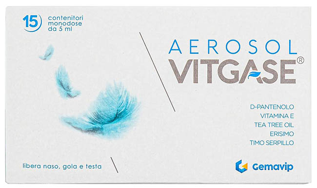 VITGASE AEROSOL 15 FLACONCINI 5 ML - farmacialombardia.it