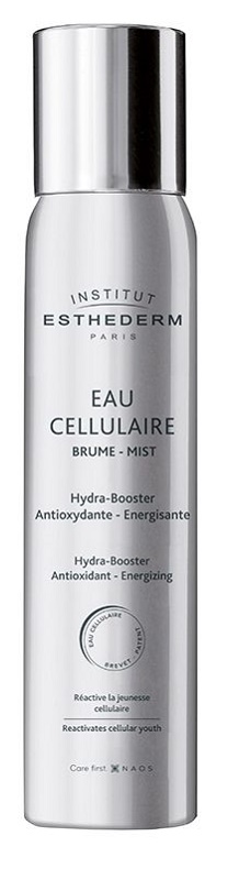 INSTI EAU CELLULAIRE BRUME 100 ML - farmacialombardia.it