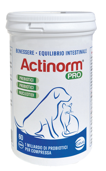 ACTINORM PRO FLACONE 60 COMPRESSE - farmacialombardia.it