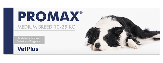PROMAX MEDIUM BREED 18 ML - farmacialombardia.it