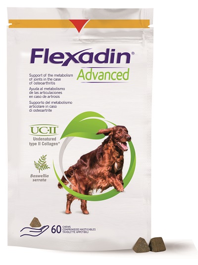 FLEXADIN ADVANCED CANE TUTTE LE TAGLIE 60 TAVOLETTE APPETIBILI - farmacialombardia.it
