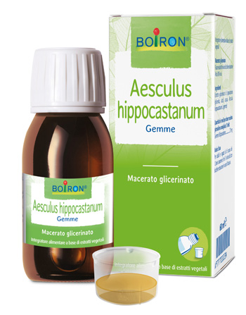 AESCULUS HIPP BOIRON MACERATO GLICERICO 60 ML - farmacialombardia.it