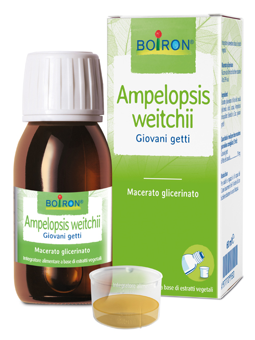 AMPELOPSIS WESTRATTO IDROALCOLICO BOIRON MACERATO GLICERICO 60 ML - farmacialombardia.it