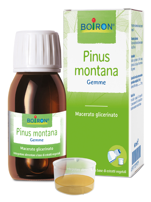 PINUS MONTANA BOIRON MACERATO GLICERICO 60 ML - farmacialombardia.it
