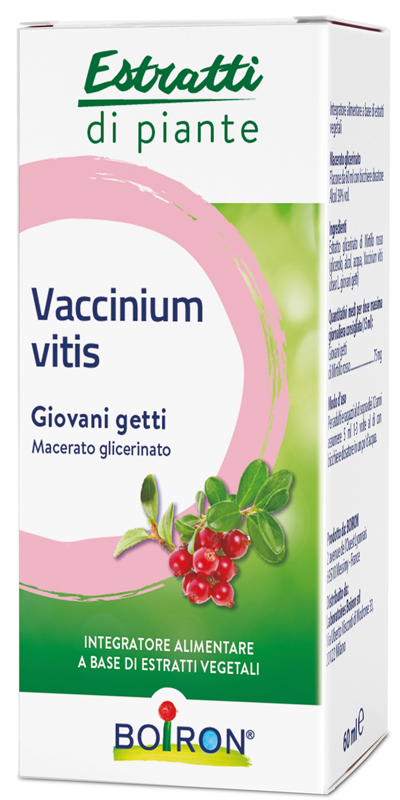 VACCINIUM VITIS MACERATO GLICERICO 60 ML - farmacialombardia.it