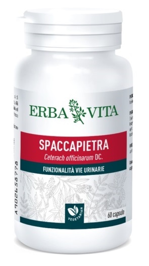 SPACCAPIETRA 60 CAPSULE - farmacialombardia.it