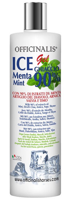 ICE GEL 90% 250 ML - farmacialombardia.it