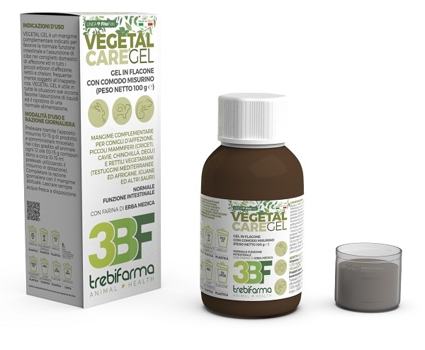 VEGETAL CARE GEL FLACONE 100 G - farmacialombardia.it