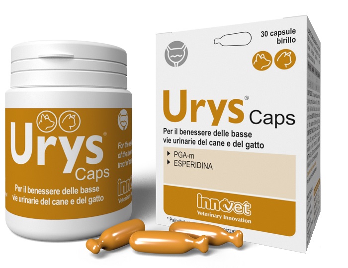 URYS CAPS 30 CAPSULE - farmacialombardia.it